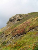/album/parks-etc/ireland-2-jpg/